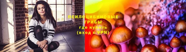 ПСИЛОЦИБИНОВЫЕ ГРИБЫ Навашино