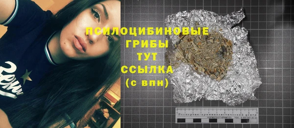 ешки Надым